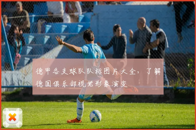 德甲各支球队队标图片大全，了解德国俱乐部视觉形象演变