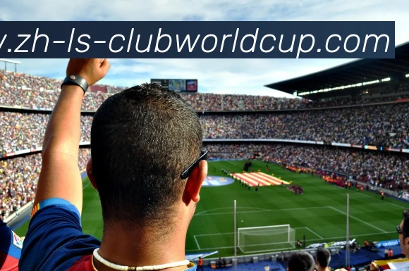 世界杯官网发展历程